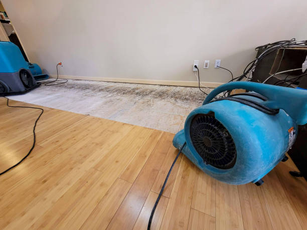 Reliable Basement Flood Cleanup contractor in Everett, MA by Hirex Water Damage