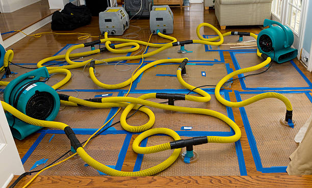Professional Basement Flood Cleanup technician working in Everett, MA